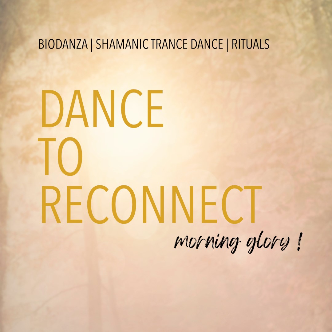 Mehr über den Artikel erfahren Dance to reconnect – morning glory!